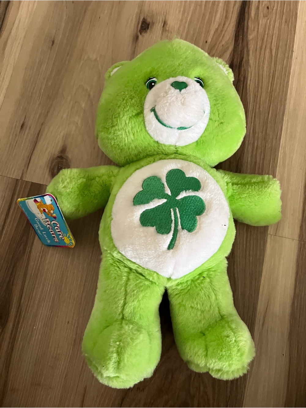 Care Bears Plush Good Luck Lucky Green Shamrock Bear  Stuffed Animal Toy 2003